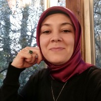 Ayşe DEMİRCİ Ayşe DEMİRCİ